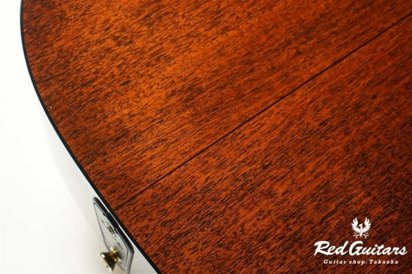 00-Nylon w/FISHMAN Matrix VT Enhance